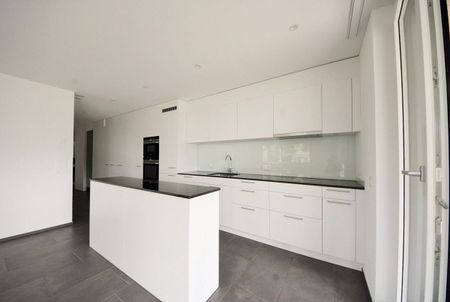 Modern apartment with large seating area - Photo 4