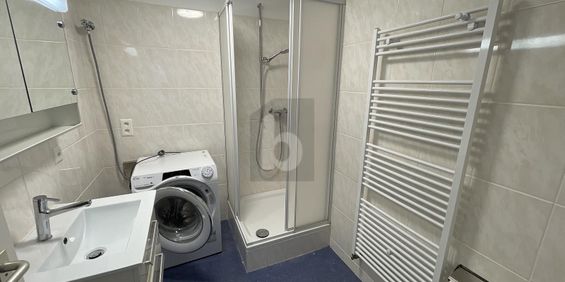 FURNISHED, RENOVATED AND IMMEDIATELY AVAILABLE - Photo 3