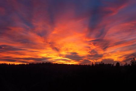 Charmante 3.5-Zimmer im Grünen mit Waldblick - Photo 3