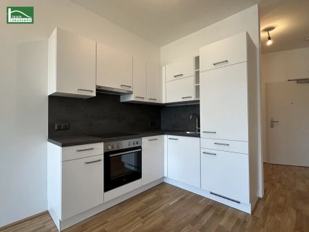 Lichtdurchflutete 2-Zimmer Wohnung in 1220 Wien - ab 01.09.2025 verfügbar! - Photo 4