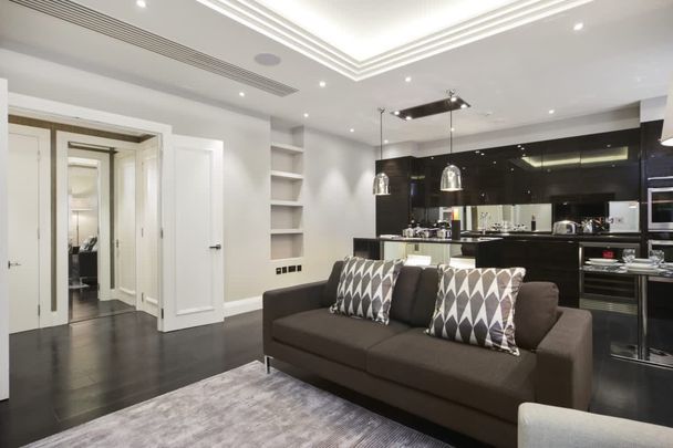 Eccleston Street, Westminster, SW1W - Photo 1