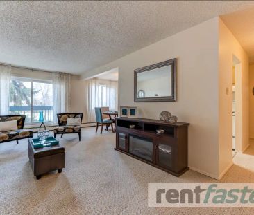 Parklane Apartments — 1 Bedroom - Photo 1