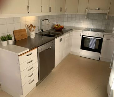 Otteshagen: Etta i lummigt område på nedre botten - Photo 4