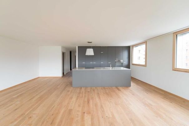 Grosszügiges Wohnen in ruhigem Wohnquartier - Foto 1