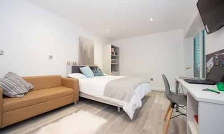 Silver Plus Balcony Studio - Photo 5