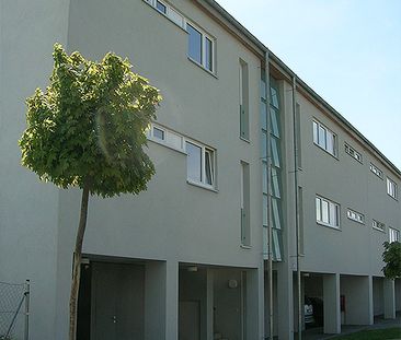 Wohnung in Neudorf im Weinviertel - Photo 3