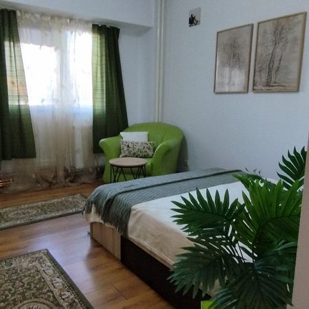 Garsonieră de închiriat în Centru, Craiova, Craiova, 37 mp - Photo 3