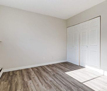 Premier Suite - 1 Bedroom - Photo 4