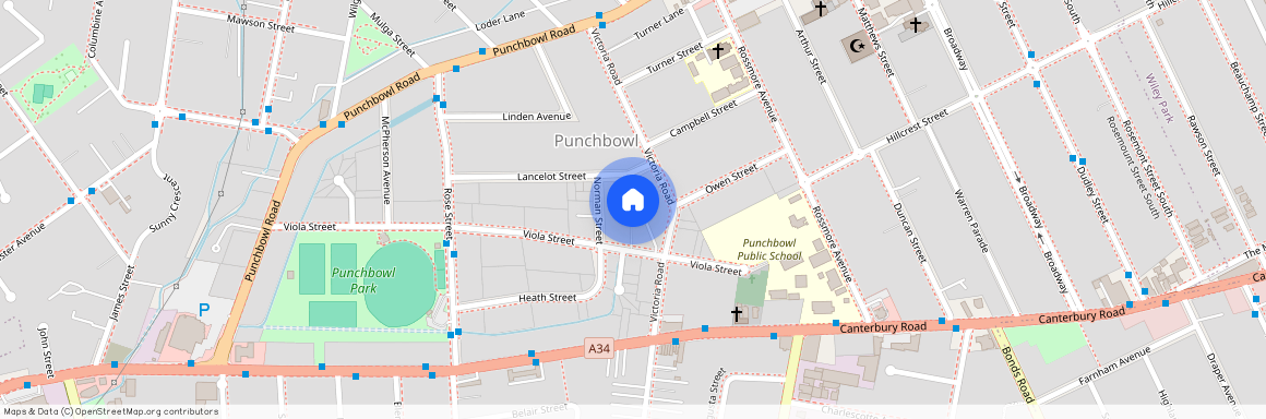 7A Viola Street, NSW 2196, Punchbowl