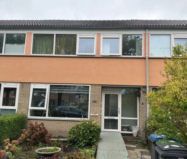 Maison mitoyenne Dommelstraat 32, Assen - À louer - Photo 1