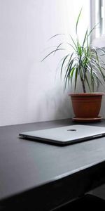 Studio rénové - Métro Crémazie - Photo 4