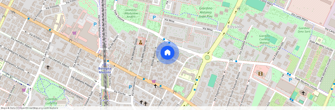 Via Vittore Carpaccio, Bologna, Emilia-Romagna 40139