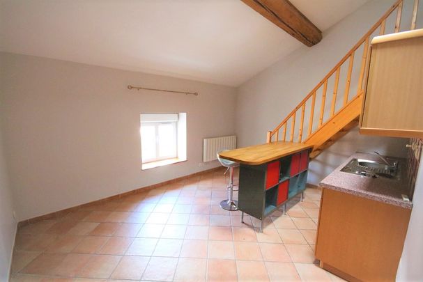 Location Appartement 1 pièce 25m² CHAMPAGNE AU MONT D OR 69410 - Photo 1