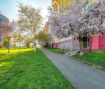 Pronájem bytu 1+kk 30 m² - Fotografie 4