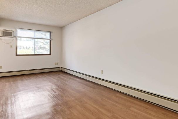 1 Bedroom - Photo 1