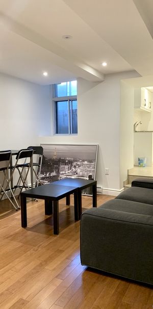Downtown - Nice Furnished 3 1/2 For Rent - Photo 1