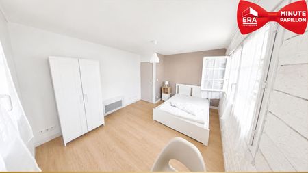À louer : Grande chambre meublée dans un appartement spacieux à Bègles - Photo 5