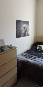 Student Properties to Let - Photo 4