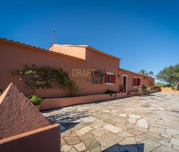Faro, Faro 8600 - Photo 6