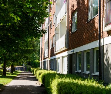 Ollenicklas väg, Vänersborg - Foto 2