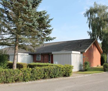 Mølleparken 3-26, Møllevej 1-15 - Nørager - Photo 2