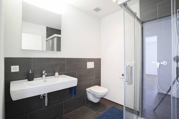 Schöne Attikawohnung mit zwei Terrassen - Photo 1