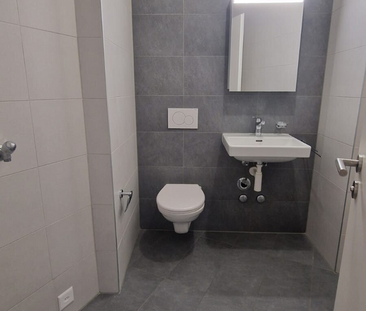 Appartement de 5 pièces lumineux aux Pâquis - Foto 5