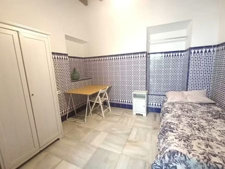 Calle Castellar, Sevilla, Andalusia 41003 - Photo 4