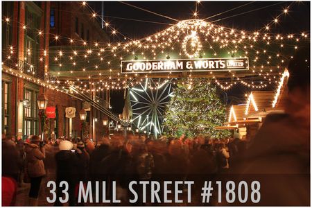 For Lease - 33 Mill Street Unit# 449, Toronto, Ontario - Photo 5