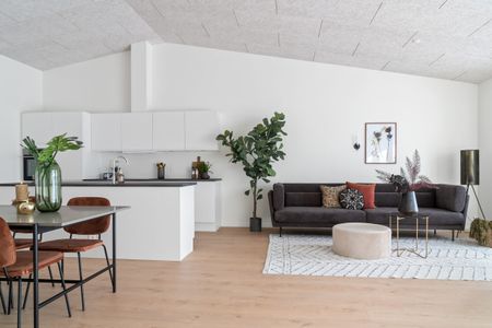 Rækkehus med sydvendt terrasse - Photo 3