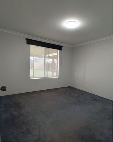 10 Wagtail Brace - Photo 5