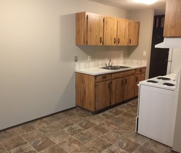 NO STAIRS!! Spacious Well Maintained Building 2 Bed, 1 Bath - Photo 3