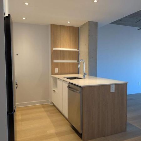 1 CH - 1 SDB - Montreal - $1,635 /mo - Photo 4
