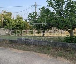 Μονοκατοικία για ενοικίαση - Καπανδρίτι - Photo 1