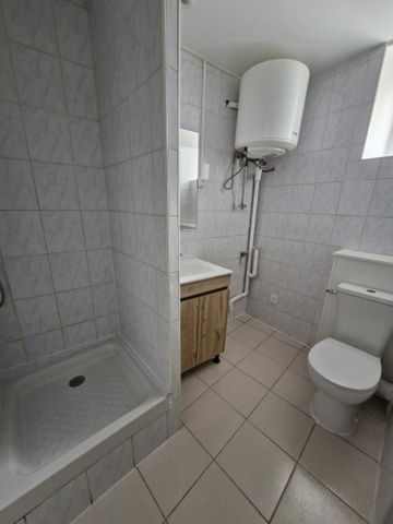 Location Appartement 1 pièce 25m² CONDRIEU 69420 - Photo 4