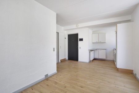 2-værelses studiebolig (Type 2) - Photo 1