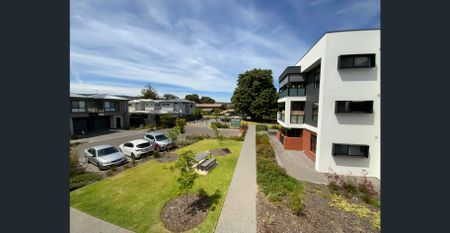 Low Maintenance, Easy Care, Contemporary Style - Photo 5