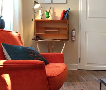 Mix and Match in Nippes - Photo 1