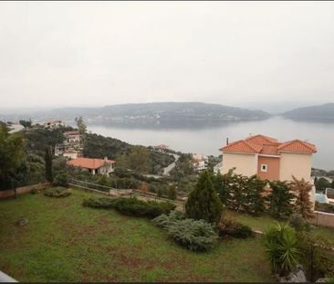 Άλλο είδος κατοικίας για ενοικίαση Δαφνούσες - Φωτογραφία 2