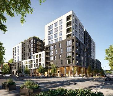 1415 Avenue Papineau, Ville-Marie, QC - Photo 6