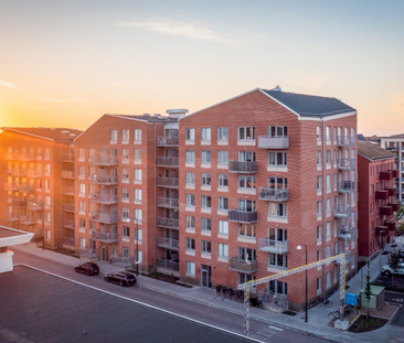 Packhusgatan 19A, Limhamns Hamnområde - Foto 6