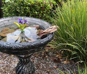 North Lakes - Photo 2