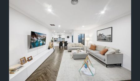 Modern Family Living with Exceptional Outdoor Entertaining - Photo 3