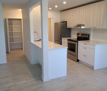 Conifer Place #1 - Photo 1