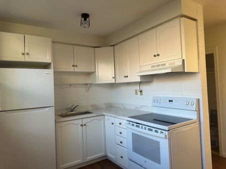 For Lease - 14 Vanevery Street Unit# Unit 3, Toronto, Ontario - Photo 5