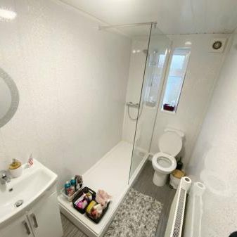 Mulehouse Road, S10 - Photo 4