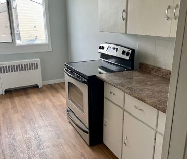 11235-117 Street - Photo 3