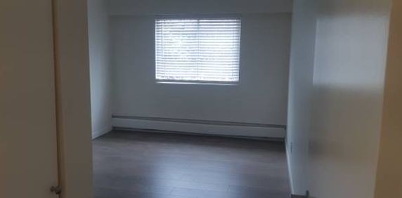 2 Bedroom Apt Commercial Dr - Photo 2