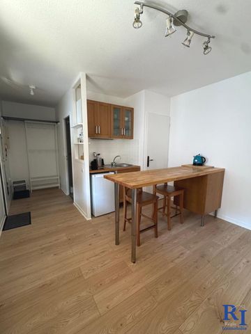 Location Appartement 1 pièce 25m² GRENOBLE 38100 - Photo 3