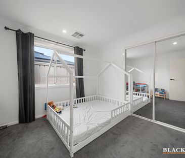 9 Stonecrop Avenue, Tralee NSW 2620 - House For Rent | Domain - Photo 5